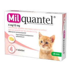 Milquantel Katze -Tierfreund Günstiges Geschäft milquantel kat 112619 0500 none