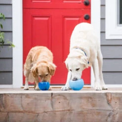 Planet Dog Orbee-Tuff Lil’ Snoop Toy -Tierfreund Günstiges Geschäft orbee tuff lil snoop toy 203408 0500 none