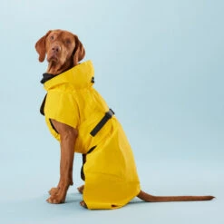 PAIKKA Visibility Raincoat Lite Yellow -Tierfreund Günstiges Geschäft paikka visibility raincoat lite yellow 217726 0500 none