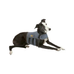 Petlife KarmaWrap Für Hunde -Tierfreund Günstiges Geschäft petlife karmawrap hond 154186 0500 none