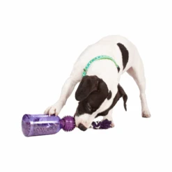 PetSafe Tug-a-Jug -Tierfreund Günstiges Geschäft petsafe tug a jug 216335 0500 none