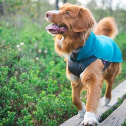 Pomppa Jumppa -Tierfreund Günstiges Geschäft pomppa jumppa 190573 0500 none