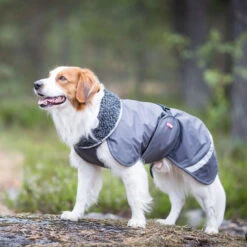 Pomppa Perus Hundejacke 9 Pomppa Perus Hundejacke -Tierfreund Günstiges Geschäft pomppa perus hondenjas 215732 0500 none
