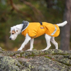 Pomppa Perus Hundejacke 11 Pomppa Perus Hundejacke -Tierfreund Günstiges Geschäft pomppa perus hondenjas 215738 0500 none