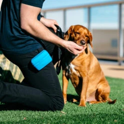 Popware Pooch Pouch Treatbag -Tierfreund Günstiges Geschäft popware pooch pouch treatbag 164698 0500 none