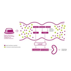 Porus One 5 Porus One -Tierfreund Günstiges Geschäft porus one 134455 0500 none