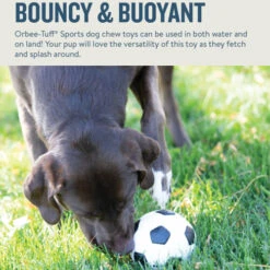 Planet Dog Orbee-Tuff Soccer Ball -Tierfreund Günstiges Geschäft prod 14590 203615 0500 none