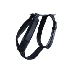 Kentucky Dog Harness Active Velvet -Tierfreund Günstiges Geschäft prod 15744 218993 0500 none