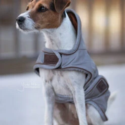 Kentucky Hundemantel Reflective & Waterrepellent -Tierfreund Günstiges Geschäft prod 15746 219013 0500 none