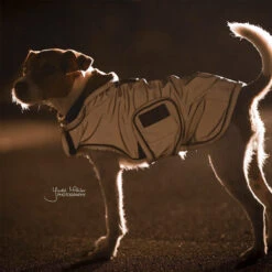 Kentucky Hundemantel Reflective & Waterrepellent -Tierfreund Günstiges Geschäft prod 15746 219015 0500 none