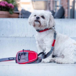 DOG Copenhagen Urban Trail Leine -Tierfreund Günstiges Geschäft prod 15941 220343 0500 none