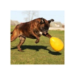 Jolly Egg -Tierfreund Günstiges Geschäft product jolly egg none 4 1496839893 86965