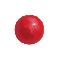 KONG Ball -Tierfreund Günstiges Geschäft product kong ball none 4 1466058813 69918