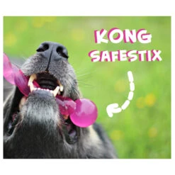 KONG Safestix -Tierfreund Günstiges Geschäft product kong safestix none 4 1458633926 66969