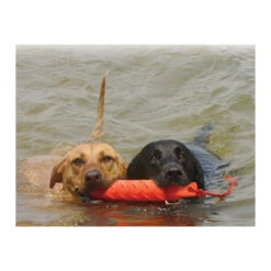 KONG Training Dummy -Tierfreund Günstiges Geschäft product kong training dummy none 4 1469627104 71971