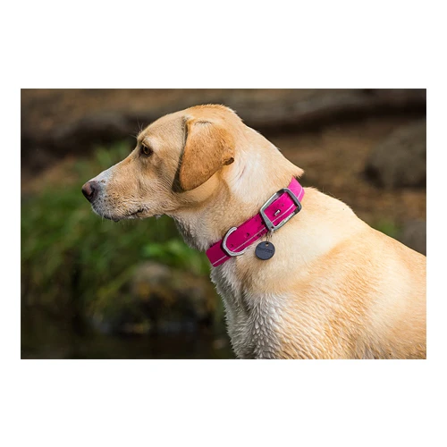 Ruffwear Headwater Collar 3 Ruffwear Headwater Collar – Bild 3