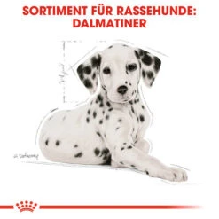 Royal Canin Dalmatian Puppy - Hundefutter -Tierfreund Günstiges Geschäft royal canin dalmatian puppy hondenvoer 138589 0500 none