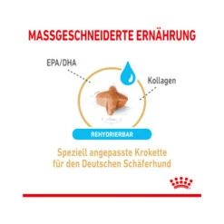 Royal Canin German Shepherd Adult 5+ 9 Royal Canin German Shepherd Adult 5+ -Tierfreund Günstiges Geschäft royal canin german shepherd adult 5 165106 0500 none