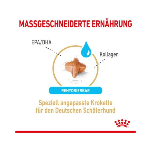 Royal Canin German Shepherd Adult 5+ 4 Royal Canin German Shepherd Adult 5+ – Bild 4