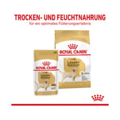 Royal Canin Labrador Retriever Adult Wet -Tierfreund Günstiges Geschäft royal canin labrador retriever adult wet 165769 0500 none