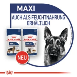 Royal Canin Maxi Ageing 8+ Wet - Hundefutter -Tierfreund Günstiges Geschäft royal canin maxi ageing 8 wet hondenvoer 129116 0500 none