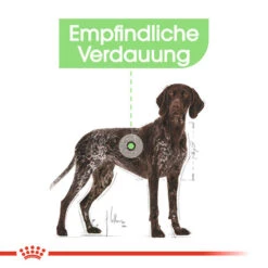 Royal Canin Maxi Digestive Care - Hundefutter -Tierfreund Günstiges Geschäft royal canin maxi digestive care hondenvoer 132482 0500 none