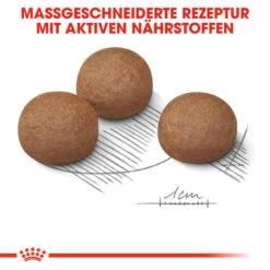 Royal Canin Maxi Digestive Care - Hundefutter -Tierfreund Günstiges Geschäft royal canin maxi digestive care hondenvoer 132494 0500 none