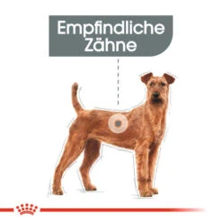 Royal Canin Medium Dental Care - Hundefutter -Tierfreund Günstiges Geschäft royal canin medium dental care hondenvoer 130922 0500 none