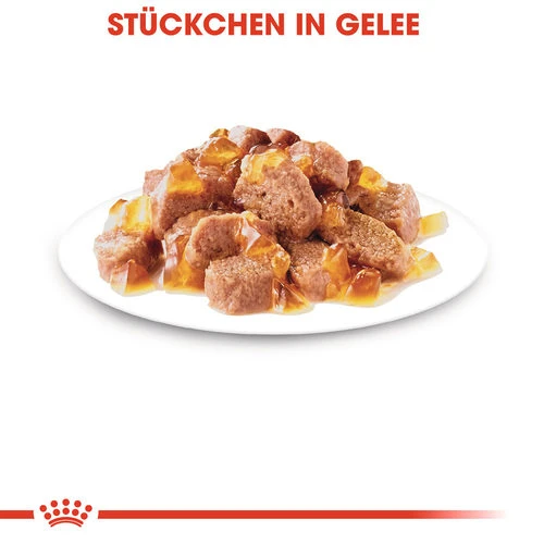 Royal Canin Sterilised In Jelly - Katzenfutter 5 Royal Canin Sterilised In Jelly - Katzenfutter – Bild 5