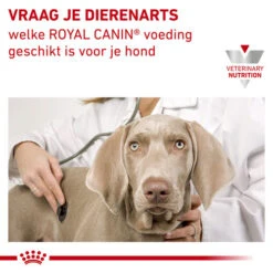 Royal Canin Urinary S/O Hund -Tierfreund Günstiges Geschäft royal canin urinary so hond 153688 0500 none