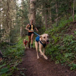 Ruffwear Roamer Leash - Blue Atoll -Tierfreund Günstiges Geschäft ruffwear roamer leash blue atoll 204797 0500 none