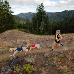 Ruffwear Roamer Leash - Blue Atoll -Tierfreund Günstiges Geschäft ruffwear roamer leash blue atoll 204800 0500 none