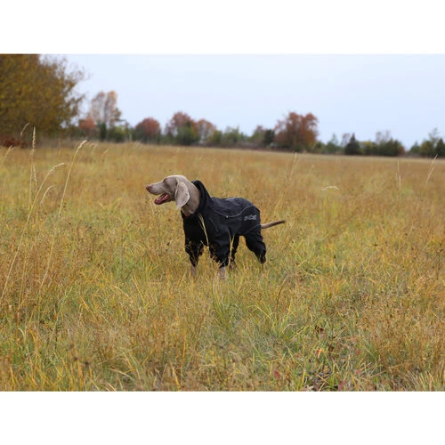 RukkaPets Protect Overall 3 RukkaPets Protect Overall – Bild 3