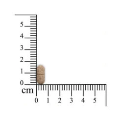 Monoderma Dry Hunde -Tierfreund Günstiges Geschäft sensipharm monoderma dry hond 174694 0500 none