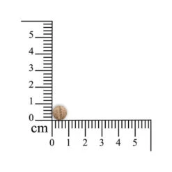 Monoderma Dry - Kleine Haustiere -Tierfreund Günstiges Geschäft sensipharm monoderma dry kleine huisdieren 174916 0500 none