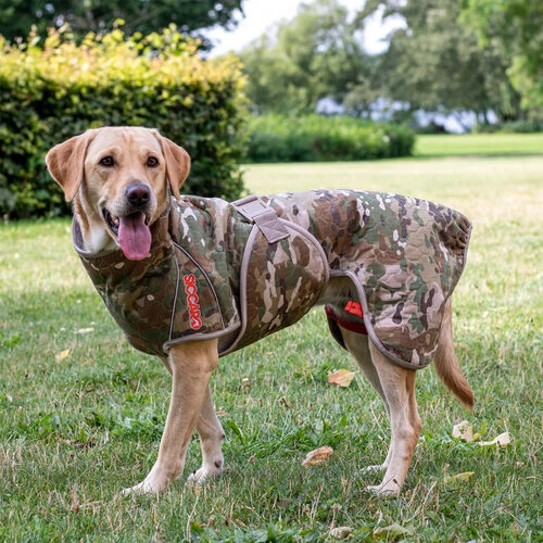 Siccaro Spirit 2.0 2 Siccaro Spirit 2.0 – Bild 2