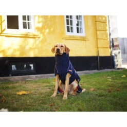 Siccaro WetDog SupremePro -Tierfreund Günstiges Geschäft siccaro wetdog supremepro 20 216994 0500 none