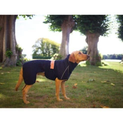 Siccaro WetDog SupremePro -Tierfreund Günstiges Geschäft siccaro wetdog supremepro 20 216995 0500 none