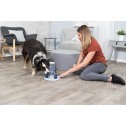 Trixie Dog Activity Gambling Tower -Tierfreund Günstiges Geschäft trixie dog activity gambling tower 179852 0500 none