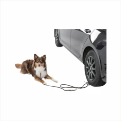 Trixie Auffahrplatte