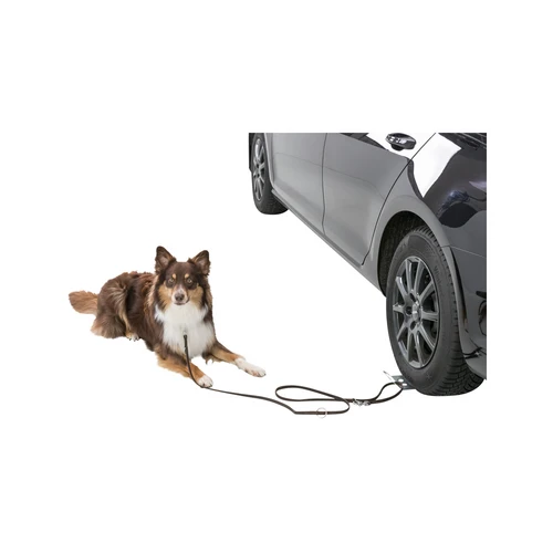 Trixie Auffahrplatte 1 Trixie Auffahrplatte