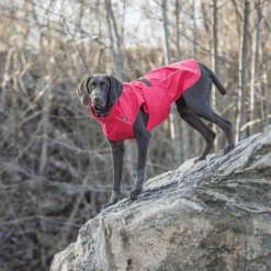 Trixie Regenjacke Vimy -Tierfreund Günstiges Geschäft trixie regenjas vimy 204854 0500 none