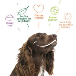 Yarrah - Hundefutter In Soße Vega Mit Hagebutten Bio -Tierfreund Günstiges Geschäft yarrah bio natvoer hond kuipje chunks vega 200843 0500 none