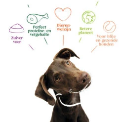 Yarrah - Getreidefreies Trockenfutter Bio -Tierfreund Günstiges Geschäft yarrah droogvoer hond graanvrij bio 201170 0500 none