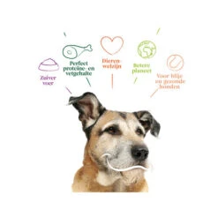 Yarrah - Trockenfutter Senior Mit Huhn, Fisch Und Kräutern Bio -Tierfreund Günstiges Geschäft yarrah droogvoer hond senior bio 201146 0500 none