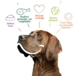 Yarrah - Trockenfutter Sensitiv Mit Huhn Und Reis Bio -Tierfreund Günstiges Geschäft yarrah droogvoer hond sensitive bio 199148 0500 none