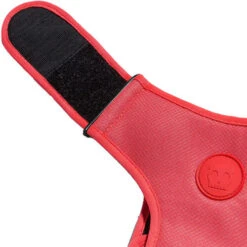 Zee.Dog Adjustable Air Mesh Harness -Tierfreund Günstiges Geschäft zeedog adjustable air mesh harness 215576 0500 none