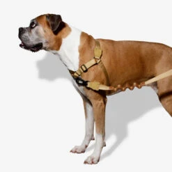 Zee.Dog Soft Walk Harness -Tierfreund Günstiges Geschäft zeedog soft walk harness 200678 0500 none