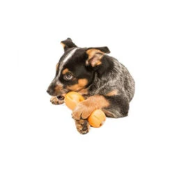 Zogoflex Qwizl -Tierfreund Günstiges Geschäft zogoflex qwizl 136852 0500 none