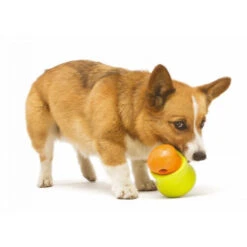 Zogoflex Toppl - Treat Toy -Tierfreund Günstiges Geschäft zogoflex toppl treat toy 219464 0500 none